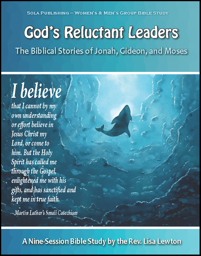 God's Reluctant Leaders - Participant